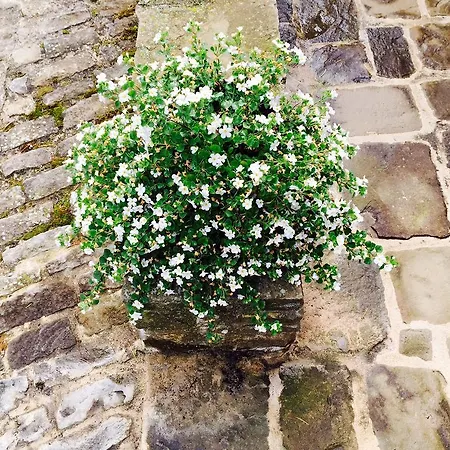 Dimora Storico Romantica Il Sole E La Luna Cerretto Langhe